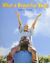 Imagem de WHAT A BEAUTIFULL SKY! BIG BOOK LEVEL K