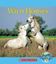 Imagem de WILD HORSES