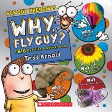 Imagem de WHY, FLY GUY? ANSWERS TO KIDS´ BIG QUESTIONS