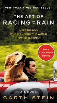 Imagem de ART OF RACING IN THE RAIN - MOVIE TIE - IN EDITION - A NOVEL