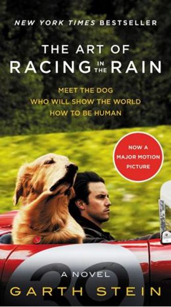 Picture of ART OF RACING IN THE RAIN - MOVIE TIE - IN EDITION - A NOVEL