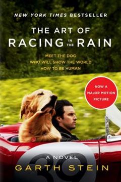 Imagem de THE ART OF RACING IN THE RAIN TIE-IN - A NOVEL