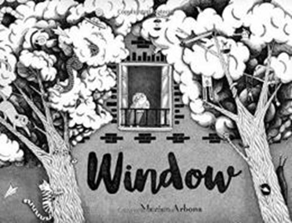 Picture of WINDOW