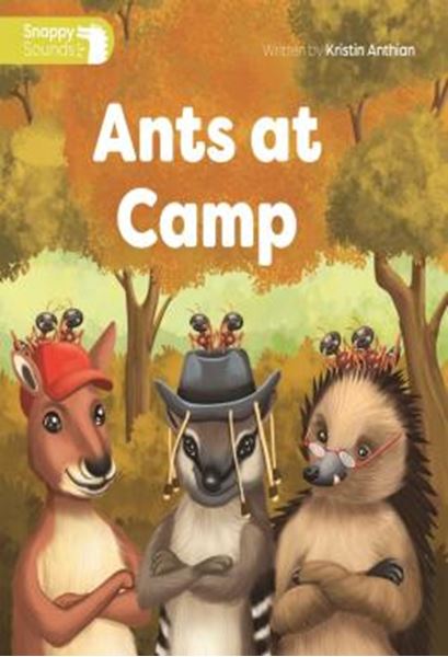 Picture of ANTS AT CAMP