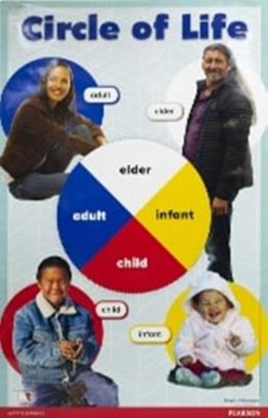 Picture of TRADITIONAL KNOWLEDGE POSTER PACK
