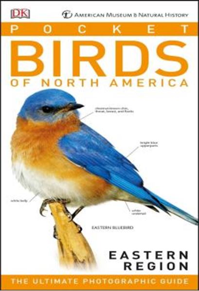 Picture of AMERICAN MUSEUM OF NATURAL HISTORY - POCKET BIRDS OF NORTH AMERICA, EASTERN REGION - THE ULTIMATE PHOTOGRAPHIC GUIDE
