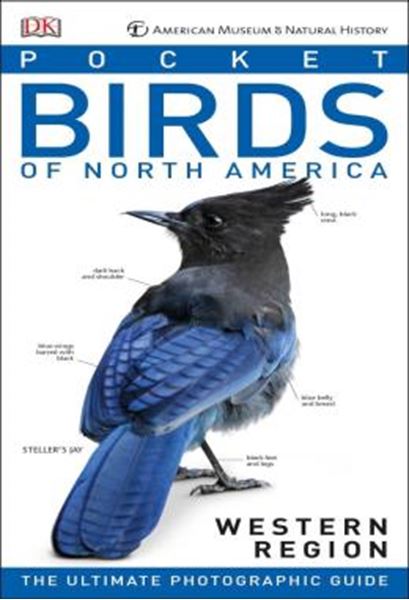 Picture of AMERICAN MUSEUM OF NATURAL HISTORY - POCKET BIRDS OF NORTH AMERICA, WESTERN REGION - THE ULTIMATE PHOTOGRAPHIC GUIDE