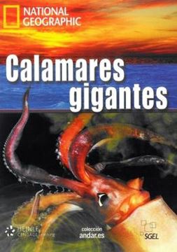 Imagem de CALAMARES GIGANTES - NIVEL C1 - LIBRO + DVD