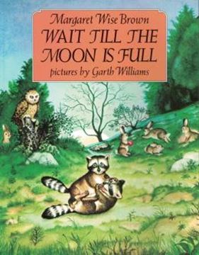 Imagem de WAIT TILL THE MOON IS FULL