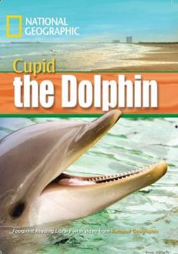 Imagem de CUPID THE DOLPHIN - WITH MULTI-ROM - AMERICAN ENGLISH - LEVEL 4 - 1600 B1