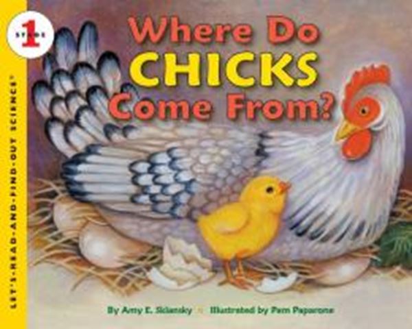 Picture of WHERE DO CHICKS COME FROM?