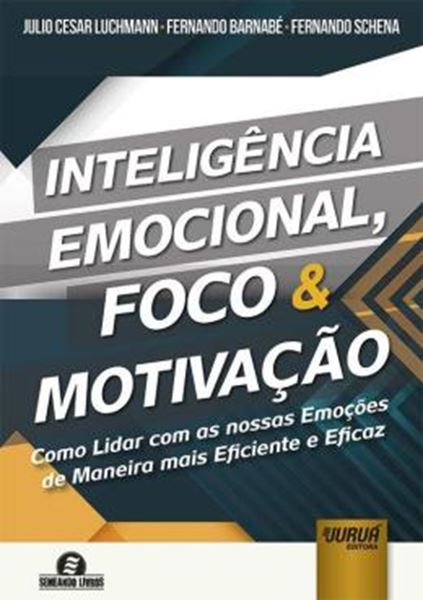 Picture of INTELIGENCIA EMOCIONAL, FOCO & MOTIVACAO
