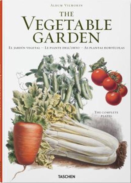 Picture of THE VEGETABLE GARDEN