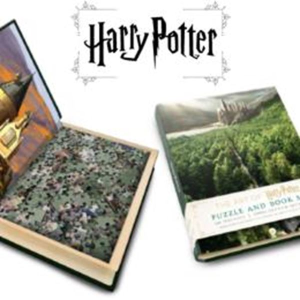 Picture of A ARTE DE HARRY POTTER