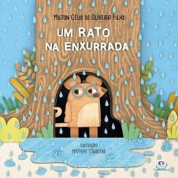 Imagem de UM RATO NA ENXURRADA
