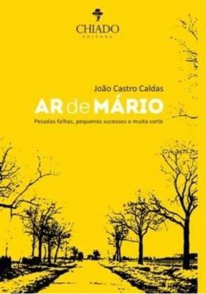 Picture of AR DE MARIO