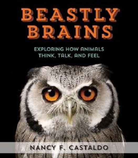 Picture of BEASTLY BRAINS - EXPLORING HOW ANIMALS THINK, TALK, AND FEEL