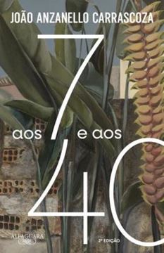 Imagem de AOS 7 E AOS 40 - 2ª ED