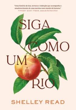 Imagem de SIGA COMO UM RIO