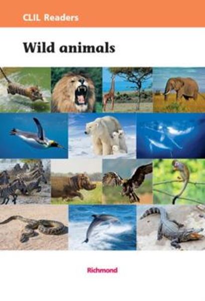 Picture of WILD ANIMALS